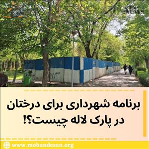 برنامه شهرداری برای درختان در پارک لاله چیست